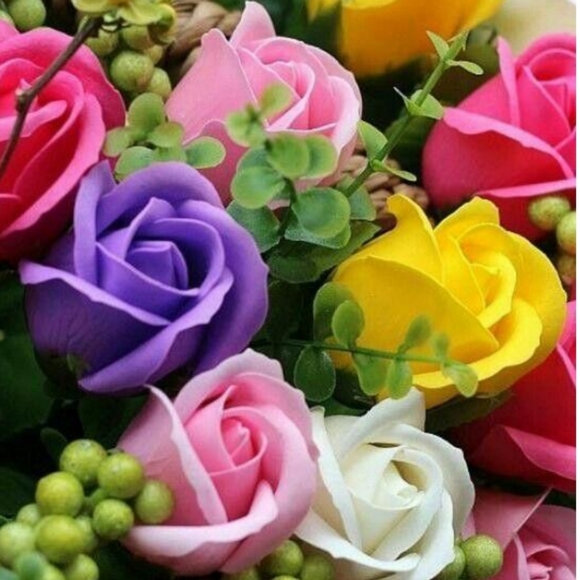 Meet your Posher, Renett - Picture 1 of 1